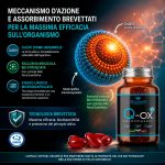 Q-OX+ HOLOPOWERED - Q10 Ubichinolo Kaneka Potenziato  | 8 Volte Più Biodisponibile | Coenzima Q10 Attivo - immagine 4