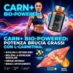 CARN+ Bio-Powered – Carnitina Potenziata per un Metabolismo Energetico Efficiente - immagine 4