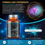 CARN+ Bio-Powered – Carnitina Potenziata per un Metabolismo Energetico Efficiente - immagine 2